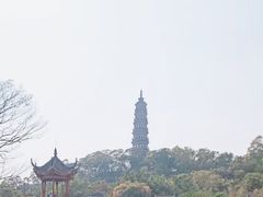 -顺峰山公园
