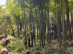 -莫干山风景区