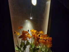 -鸿韵养生(白玉兰店)