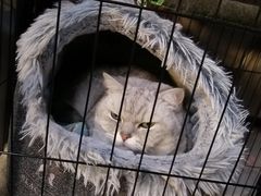 -艺味深尝(云锦路店)