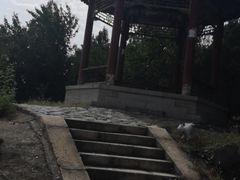 -北京凤凰岭