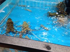 -盒马鲜生(王府广场店)