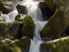 -东白山
