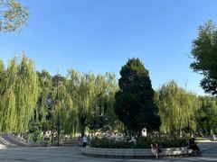 -文瀛公园