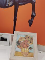 -MIVI野生眉纹绣纹眉