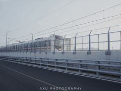 -海堤纪念公园