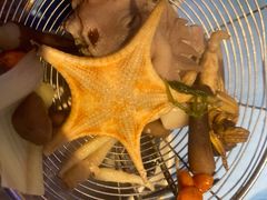 -千岛蚝高压锅生蚝·人参火锅(白云万达店)