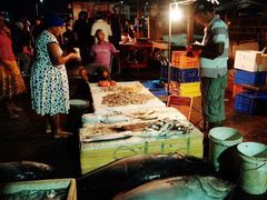 -尼甘布海鲜市场