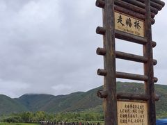 -泸沽湖国家级风景名胜区走婚桥