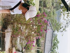 -火炉山森林公园