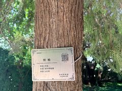 -旅顺博物馆
