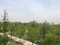 -武清南湖绿博园