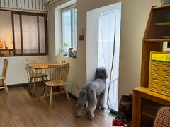 -沏点Trattoria意大利餐厅(新街口店)