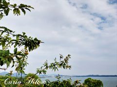 -中海·庐山西海君澜度假酒店·味屿全日制餐厅