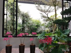 -杭州植物园