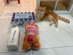 -山姆会员商店(上海浦东店)