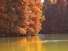 -上海海湾国家森林公园