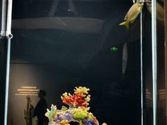 -重庆欢乐海底世界