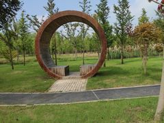 -溱湖国家湿地公园