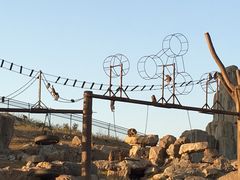 -石家庄市动物园