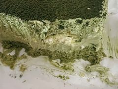 抹茶提拉米苏-禾沐·轻食·面包·咖啡