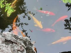 -苏州冶园园林民宿(太湖西山风景区店)