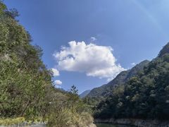 -雁南飞茶田景区