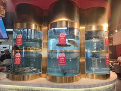 -蜀滋香鲜鱼美蛙火锅(339店)