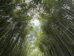 -竹泉村旅游度假区