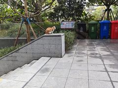 -广州市白云区图书馆