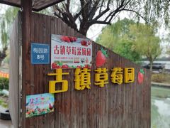-召稼楼古镇