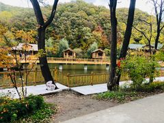-参仙谷生态旅游度假区