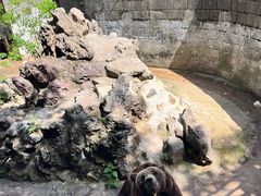 -赭山公园