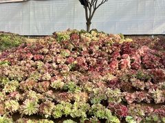 -沂蒙云瀑洞天景区