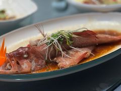 清蒸东星斑-苏先生海鲜渔庄(金桥店)