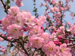 -杭州城北体育公园