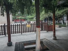 -文瀛公园