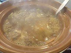 -大中鱼翅 Taitong Shark Fin