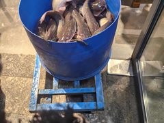 -肖肖酸萝卜鱼火锅(总店)