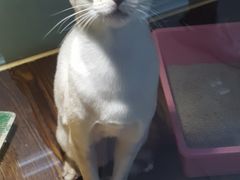 -乐宠宠物店(世纪金源店)