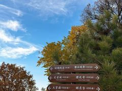 -少华山国家森林公园
