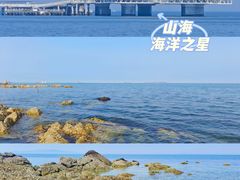 -养马岛旅游度假区