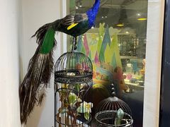 -觅山云南菜(泊富ICITY店)