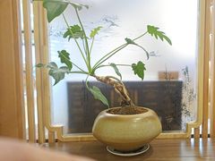 -山东宾馆·齐鲁苑餐厅