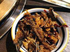 -土著渔匠·养生蝴蝶鱼(香樟路店)