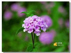 -桂林资江天门山风景区