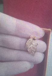 -萃华金店(罗斯福广场店)