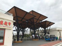 -上海长兴岛郊野公园