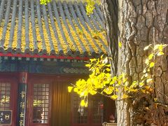 -红螺寺