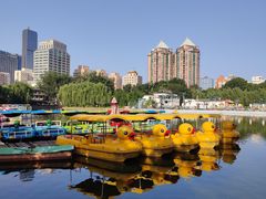 -团结湖公园